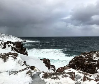 Большие приключения в Териберке: морепродукты,выход в море,топовые локации за 1 день.