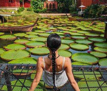 Авторский тур на остров Пхукет: Тропический вайб