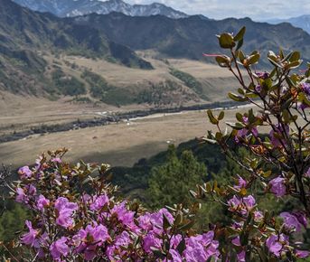 Весь Алтай за неделю! Чуйский тракт, Телецкое озеро, Каракольские озера