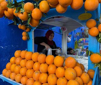 Королевство Марокко и манящая Сахара