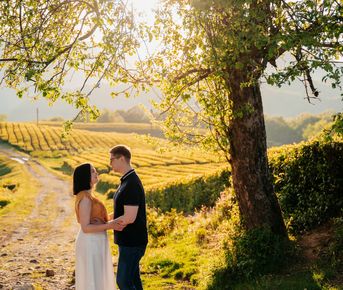 Фототур на чайную плантацию (цена за 1-4 чел.)