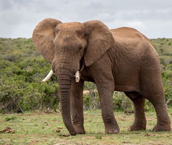 Юар: два океана