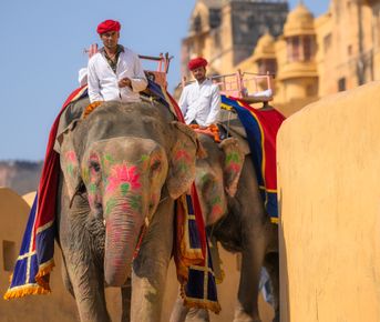 Самые яркие города Раджастана + Варанаси + праздник Холи