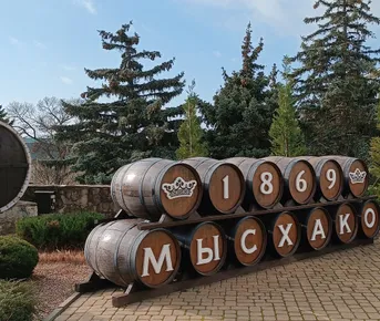 Винные открытия Геленджика и Новороссийска