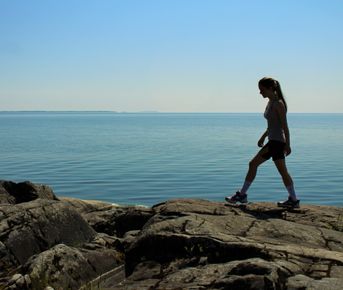 Двухдневный тур all inclusive по Ладожскому озеру Приозерск/Лахденпохья