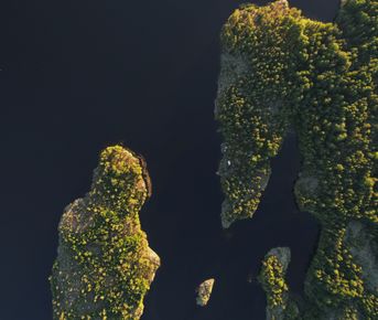 Однодневный тур по Ладожским шхерам Приозерск/Лахденпохья