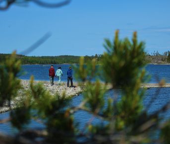 Четырехдневный тур по Ладожским шхерам Приозерск/Лахденпохья