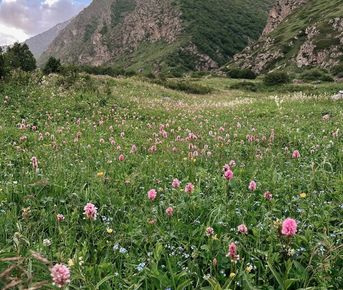 Безенги: Русские Гималаи. Треккинг по Кавказу с комфортом