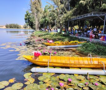 Южный Вьетнам