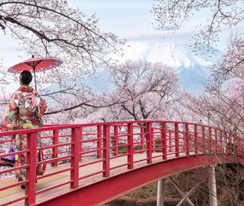 Цветение сакуры в Японии: путешествие в сердце весны