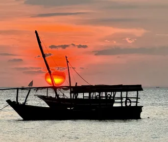 Сказочный Новый год 2026  на острове Занзибар