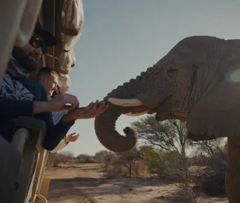 Тур в Намибию, место где океан встречается с дюной