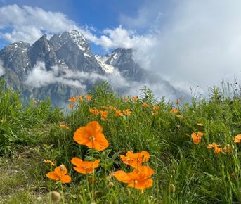 Автобусная экскурсия в Цей!