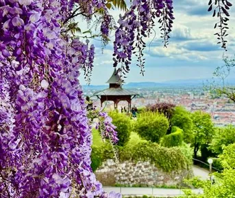 Грац - город контрастов