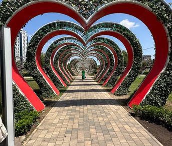 Поездка в Чечню. Грозный, Шали, Аргун