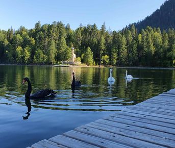 Удивительные Тёплые озера! Индивидуально.