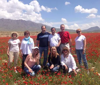 Грузия + Армения и Азербайджан: 3 в 1!