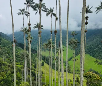 Колумбия: страна ярких традиций, насыщенной культуры, дружелюбных людей и кофе
