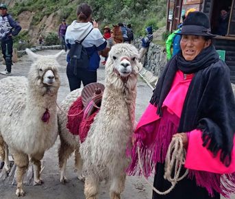 Тур-экспресс Эквадор и Галапагосы за 10 дней (индивидуально)