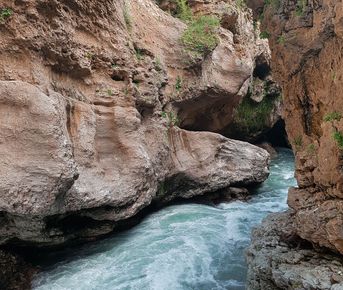 Адыгея: Экскурсионный (Лайт)