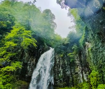 Абхазия 4 Дня Чудес