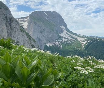 Ретрит в горах Адыгеи с походами: Пшеха-Су