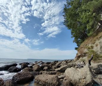 Индивидуальная экскурсия Гагра - Мюссера