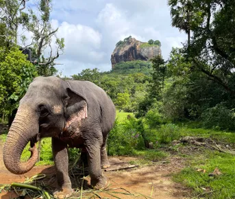 Шри-Ланка: остров, серфинг, океан