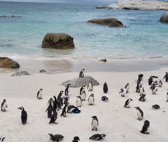 Юар. Необычная Африка.