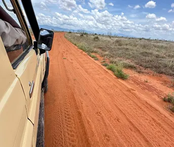 Кения Сафари+Океан