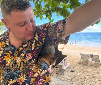 Сейшельская сказка