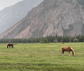 Алтай для гедонистов
