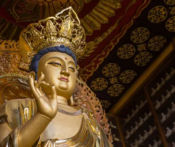 На встречу к пандам в Китай