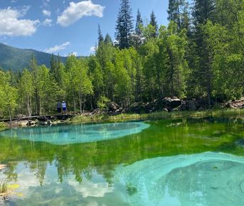 Нескучный Чуйский до Улаганского перевала и оз. Киделю