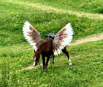 Красивый Дагестан