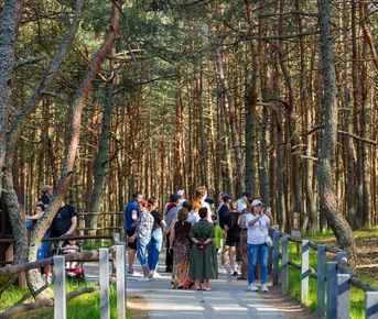 Балтийский экспресс на 6 дней - цикличный тур с заездом в любой день