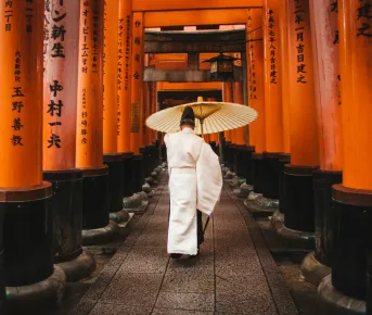 Японская Одиссея Для Молодых Авантюристов