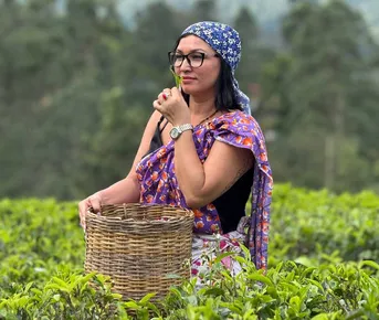 Все Самое Интересное На Шри-Ланке За 5 Дней