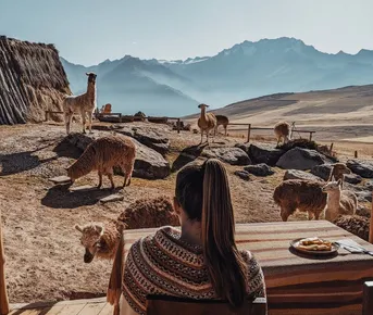 Эксклюзивное Перу, места силы + церемонии с медициной