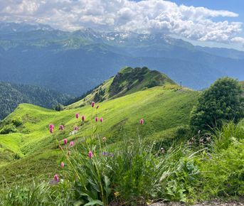 Горный лагерь на Розе