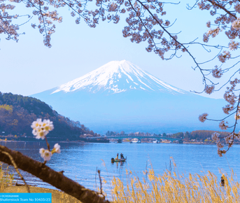 Япония, остров Окинава, киты и небоскребы Токио