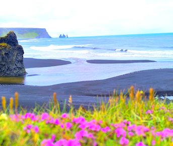 Исландия - вояж в страну огня и льда + киты