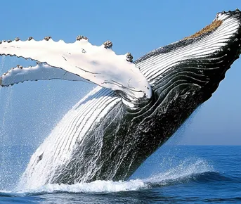 Маврикий. Всё что вы мечтали увидеть в одном туре