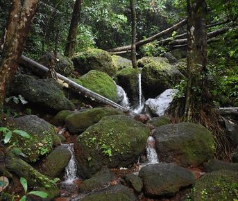 Душа Индии - путешествие по Северо-Востоку
