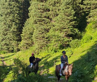 Конный тур по горным тропам Тянь-Шаня