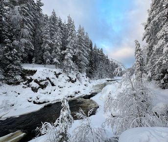 Аутентичная Карелия