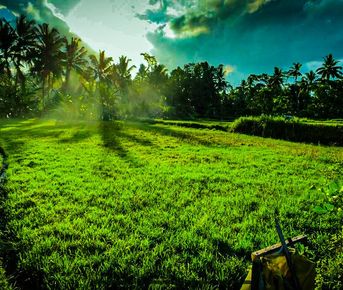 Магия Батукару: Треккинг, Храм и Горячие Источники