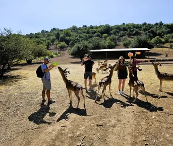 Naturemix: олени, горы и вода