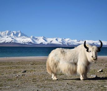 Священный Тибет: Лхаса, Эверест и Кайлас