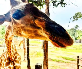 Фукуок: Тур -экспресс на 3 дня Звёзды на Песке и в Небе